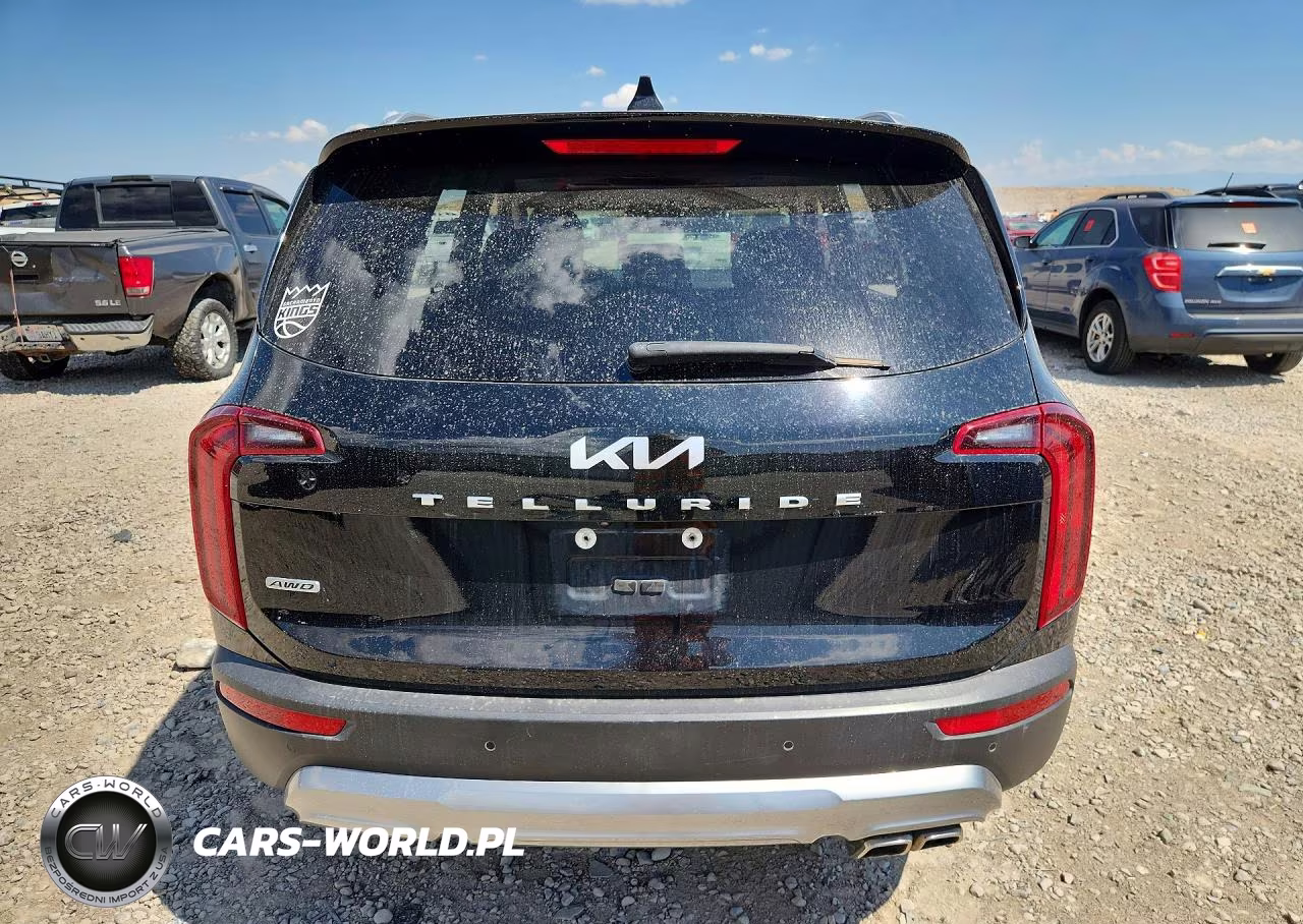 2022 Kia Telluride Sx VIN:5XYP5DHCXNG213822 - 6