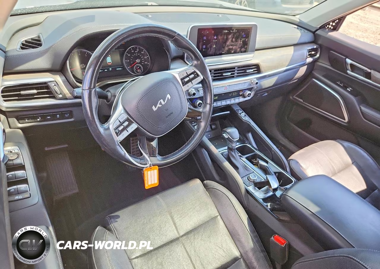 2022 Kia Telluride Sx VIN:5XYP5DHCXNG213822 - 8