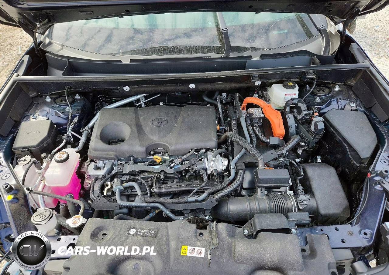 2025 Toyota Rav4 Hybrid Xle VIN:4T3RWRFV9SU212911 - 12