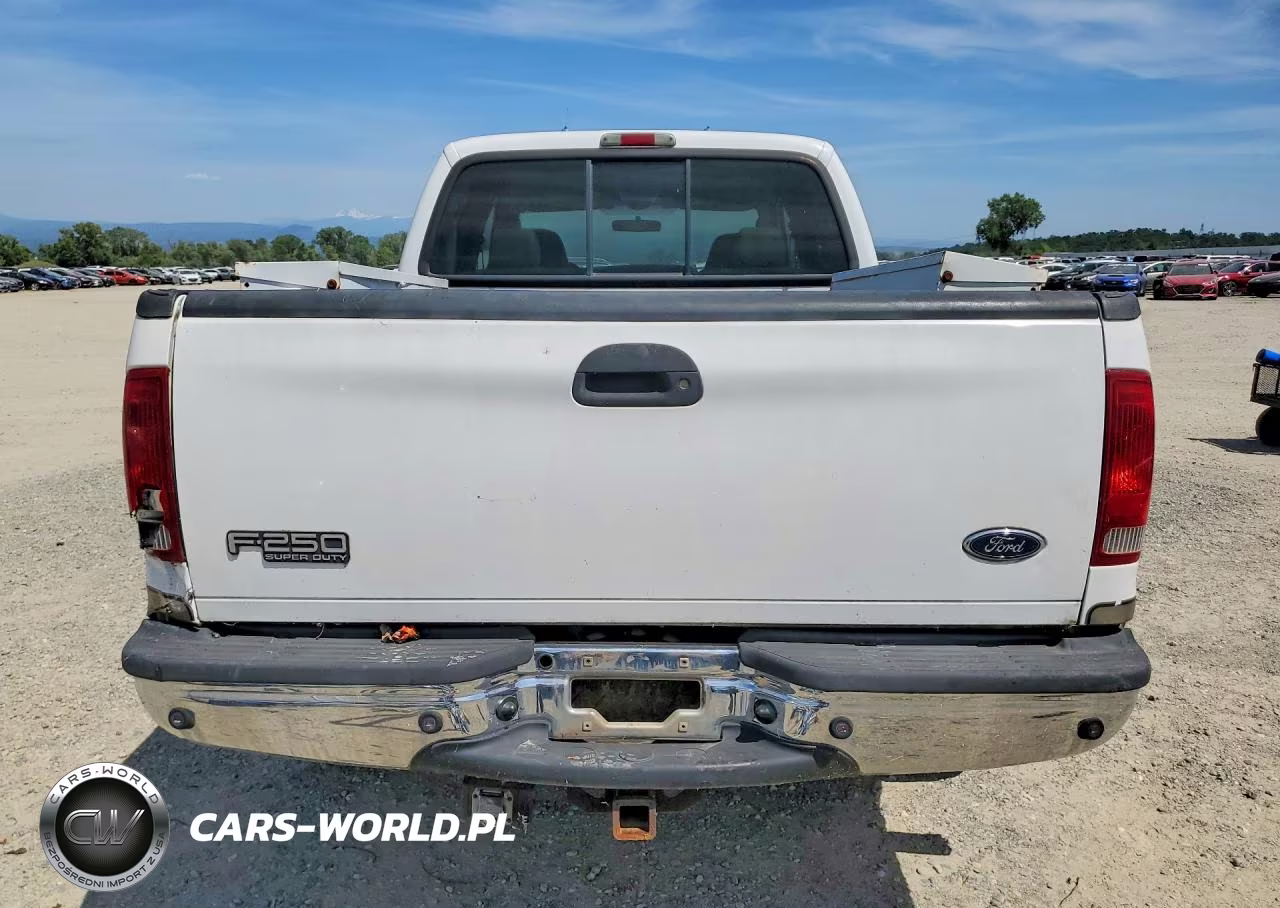 2004 Ford F250 Super Duty VIN:1FTNW21P84EC11306 - 6