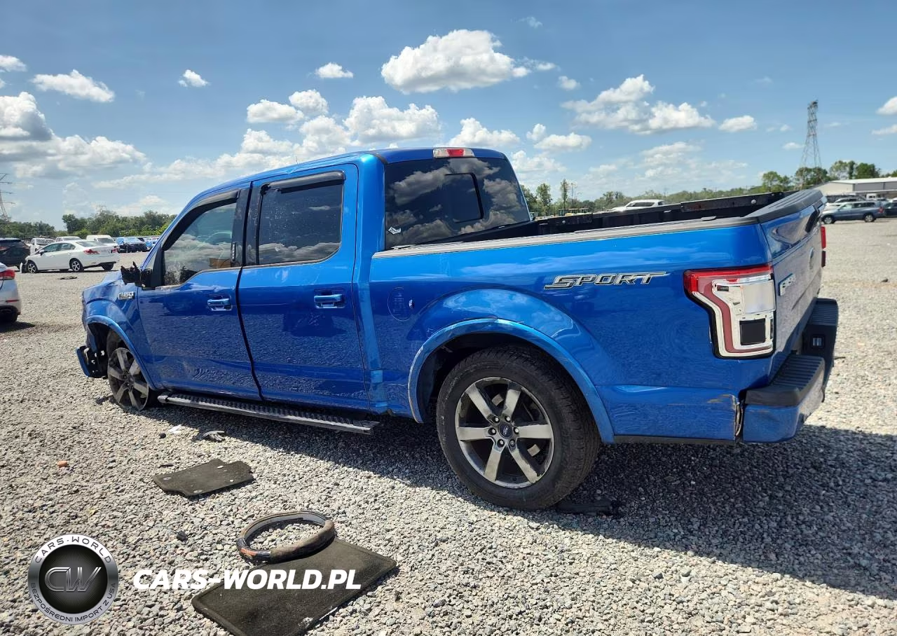 2016 Ford F150 Supercrew VIN:1FTEW1CF5GFC80130 - 2