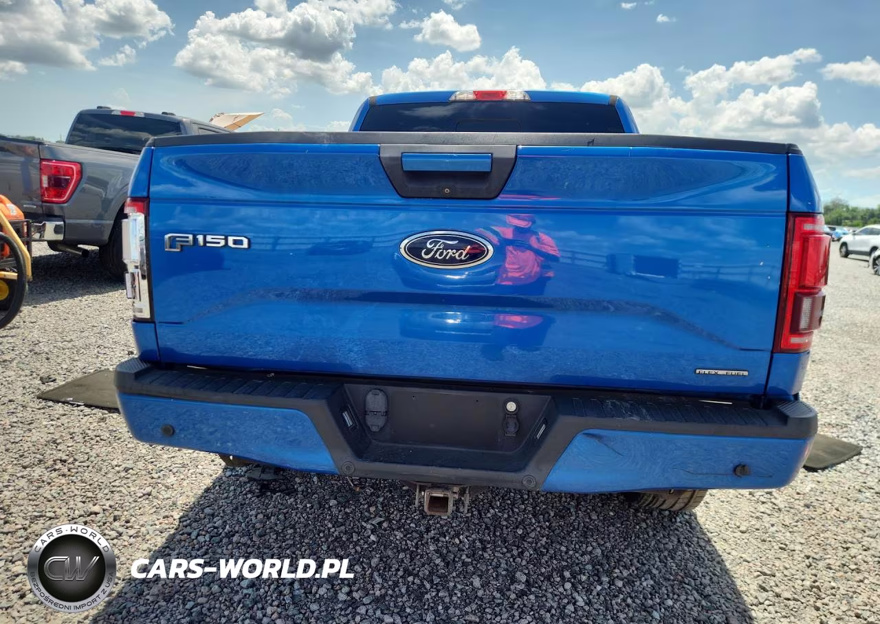 2016 Ford F150 Supercrew VIN:1FTEW1CF5GFC80130 - 6