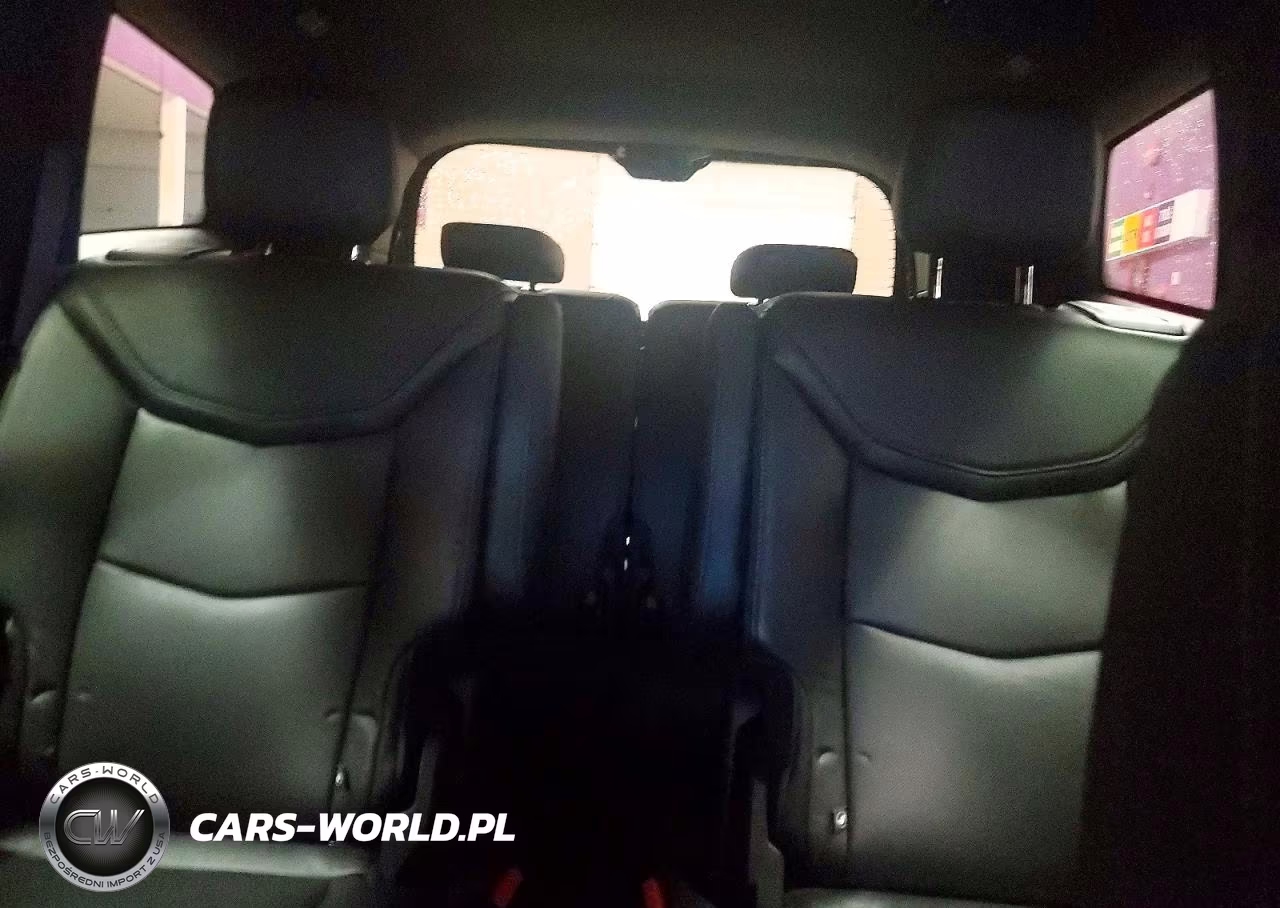 2020 Cadillac Xt6 Premium Luxury VIN:1GYKPDRS3LZ167768 - 10