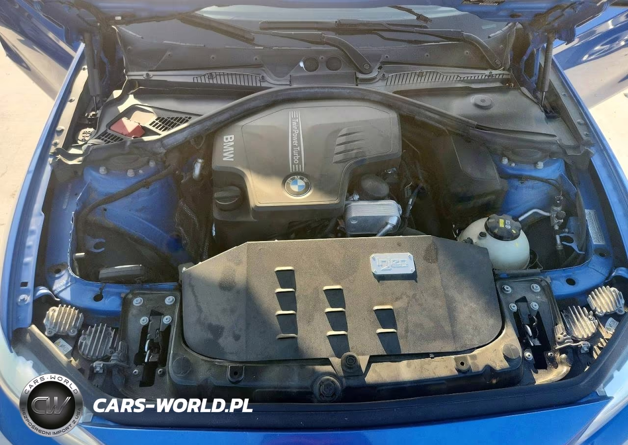 2015 BMW 228 I VIN:WBA1F5C51FV257426 - 11