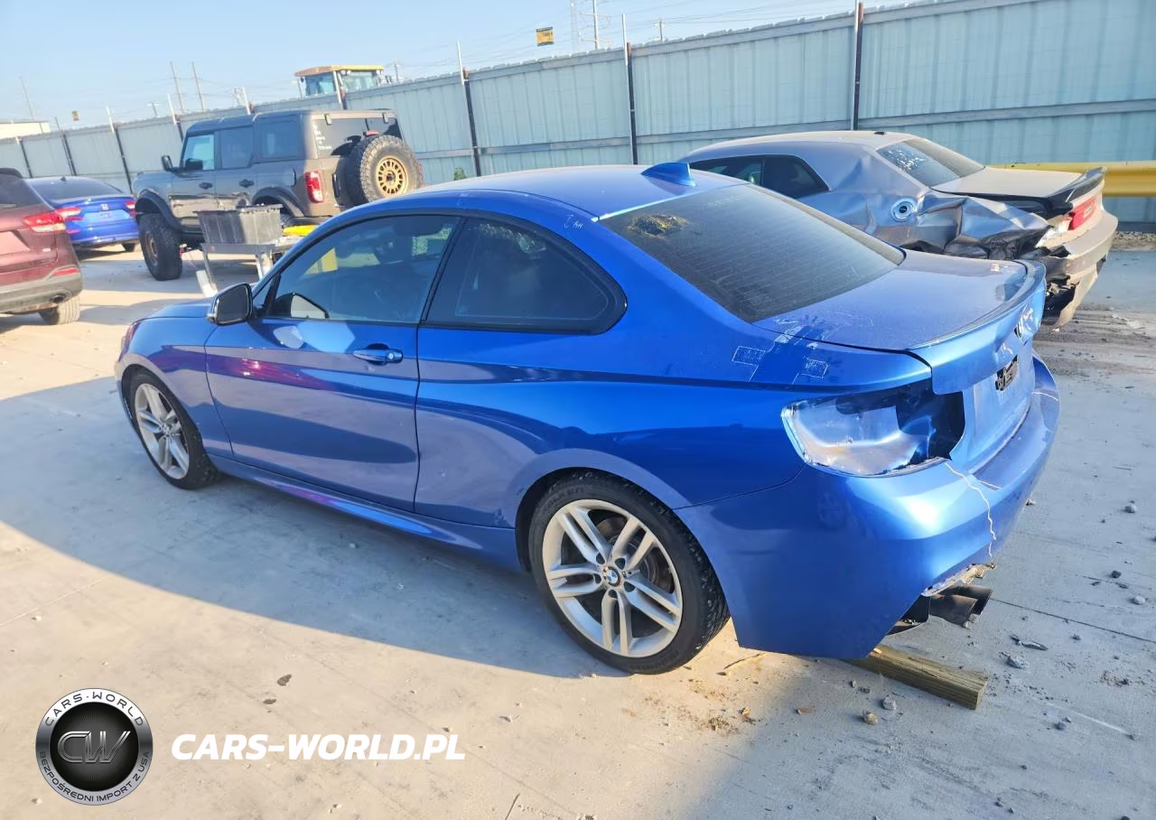 2015 BMW 228 I VIN:WBA1F5C51FV257426 - 2