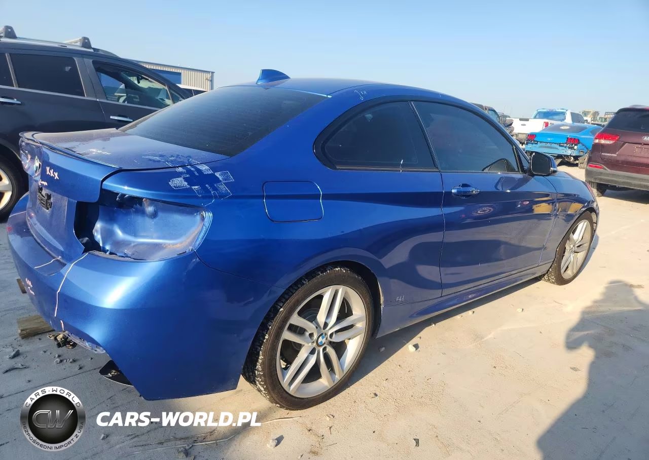 2015 BMW 228 I VIN:WBA1F5C51FV257426 - 3