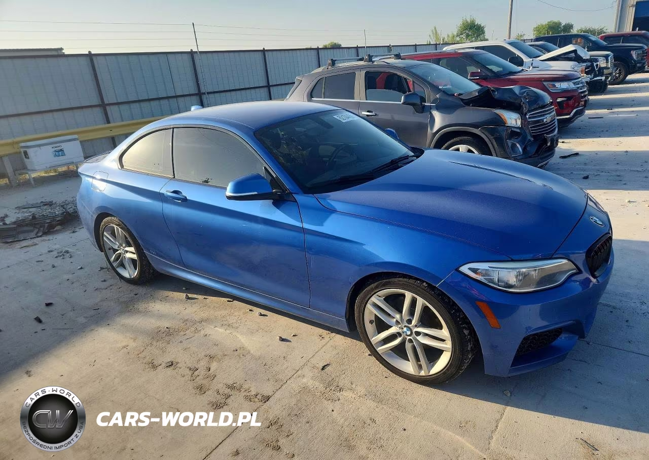 2015 BMW 228 I VIN:WBA1F5C51FV257426 - 4