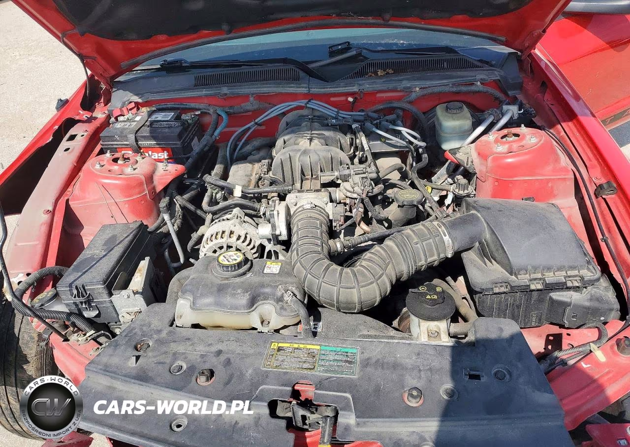 2006 Ford Mustang VIN:1ZVFT80N265117194 - 11