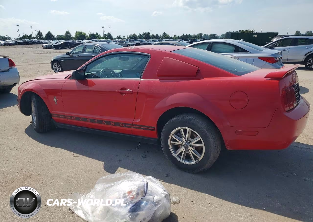 2006 Ford Mustang VIN:1ZVFT80N265117194 - 2