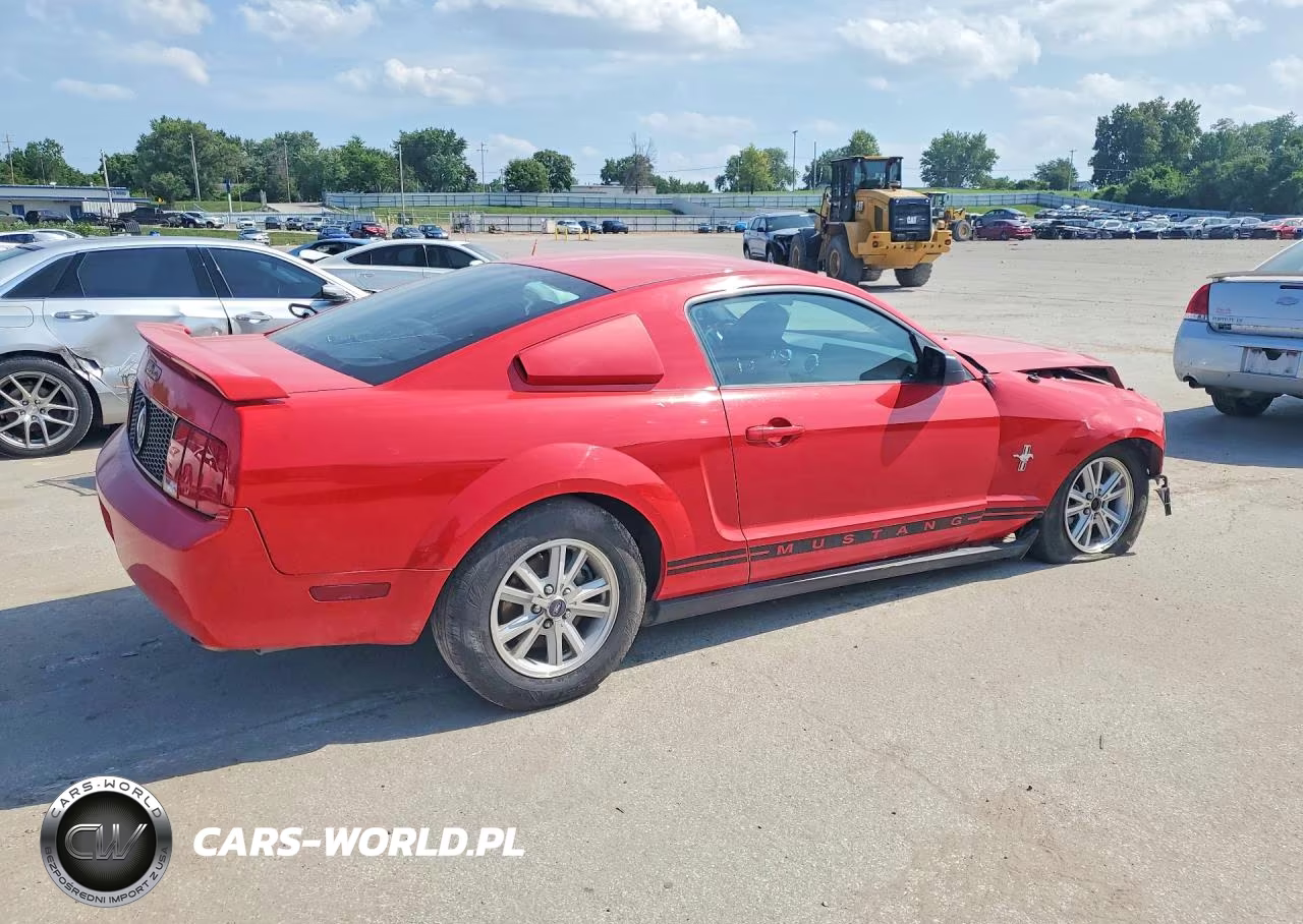 2006 Ford Mustang VIN:1ZVFT80N265117194 - 3