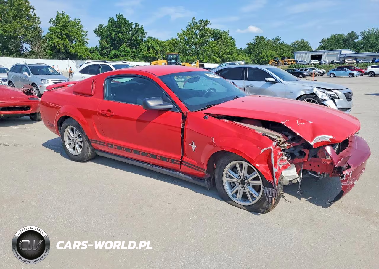 2006 Ford Mustang VIN:1ZVFT80N265117194 - 4