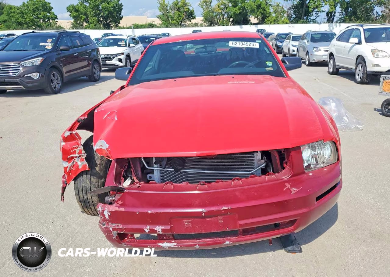 2006 Ford Mustang VIN:1ZVFT80N265117194 - 5