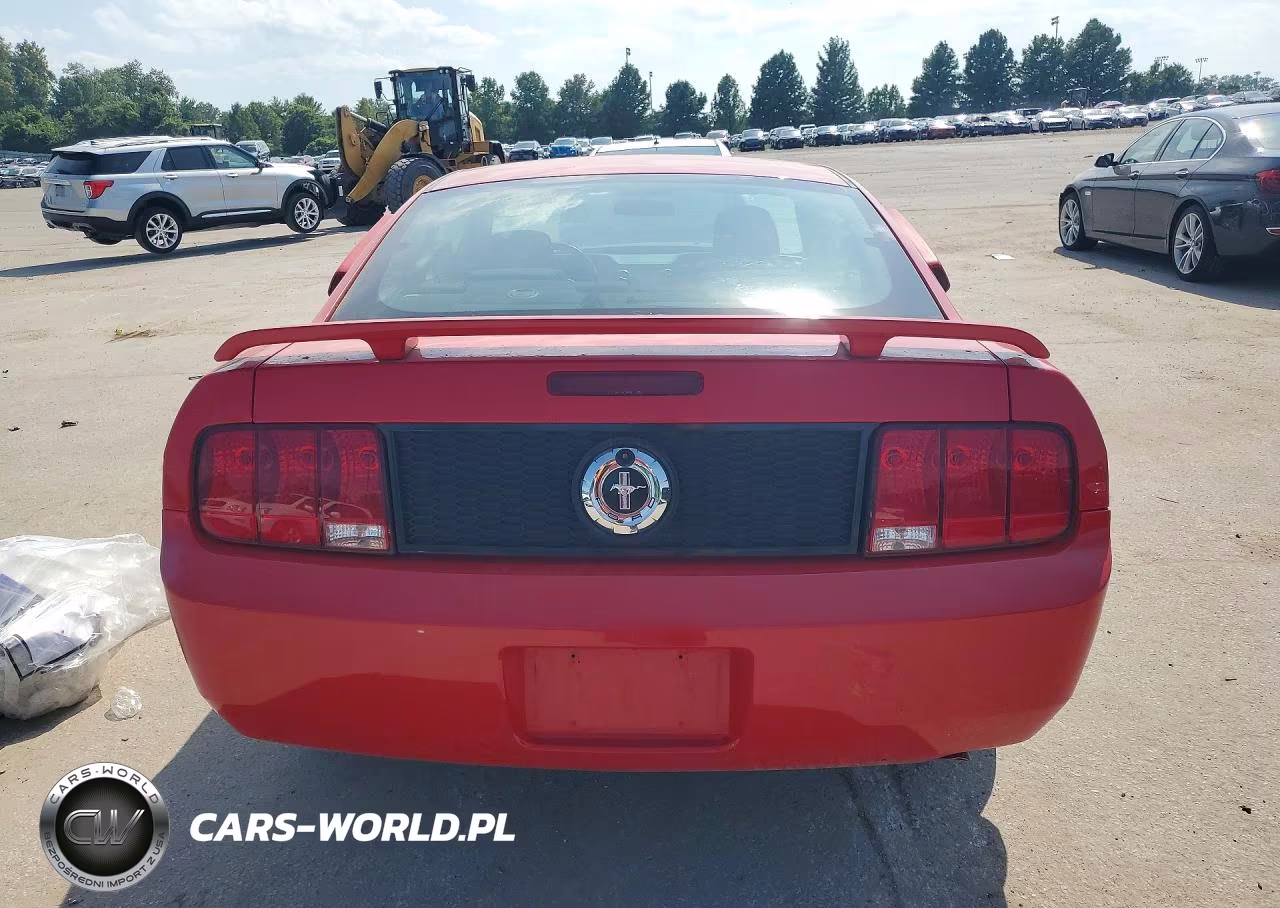 2006 Ford Mustang VIN:1ZVFT80N265117194 - 6