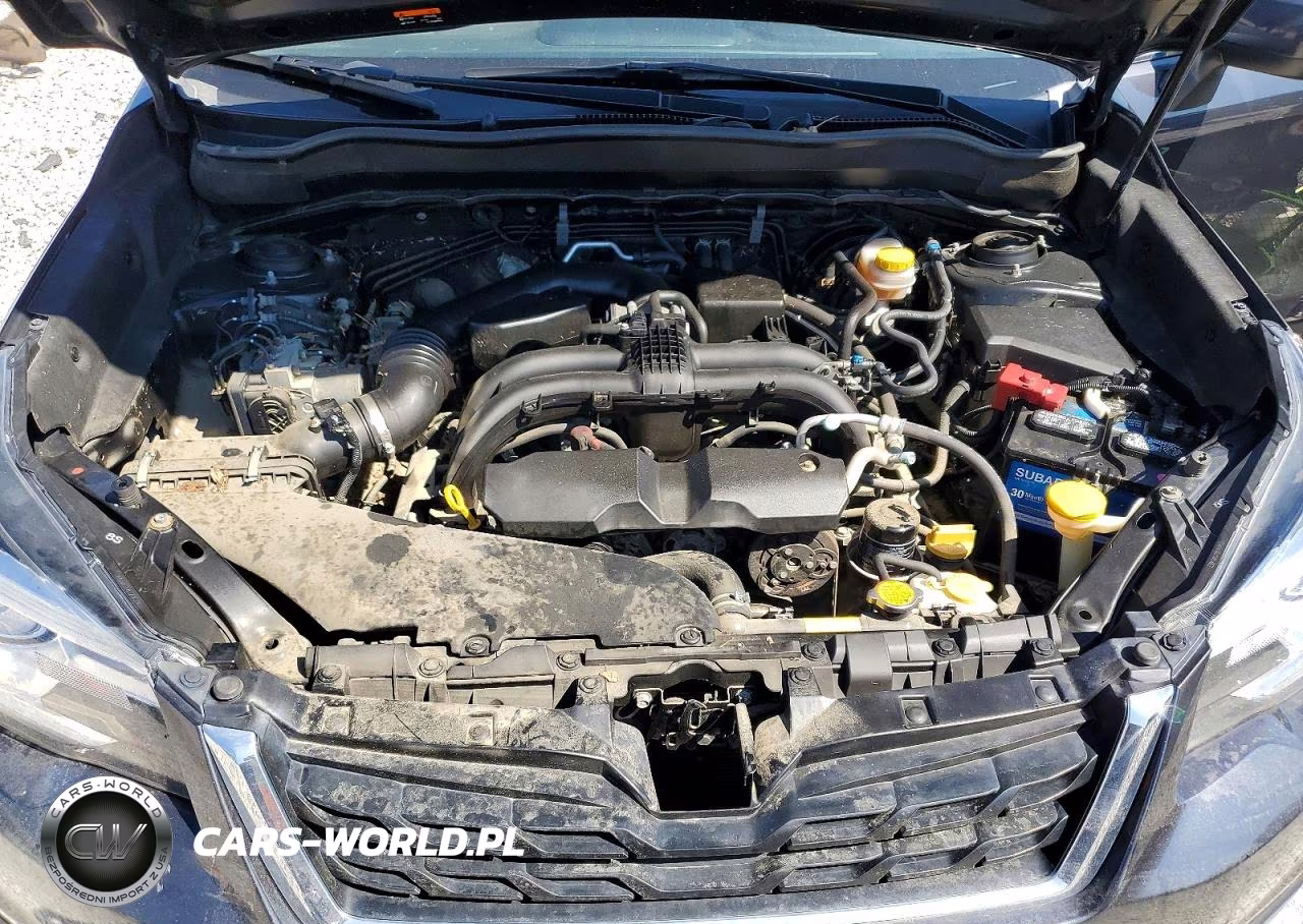 2018 Subaru Forester 2.5I Limited VIN:JF2SJARC1JH535996 - 12