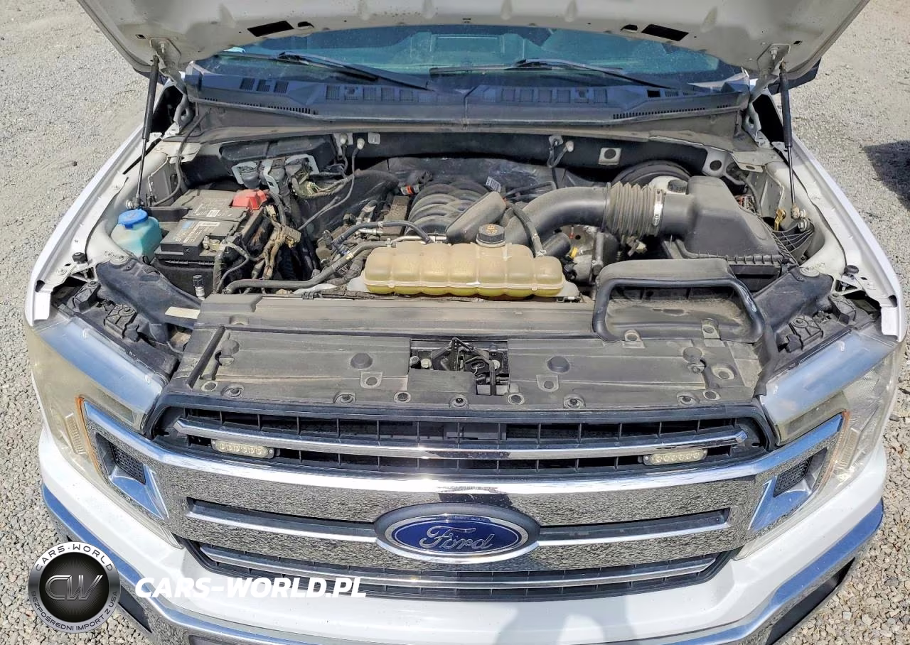2019 Ford F150 VIN:1FTMF1C55KKE18414 - 11