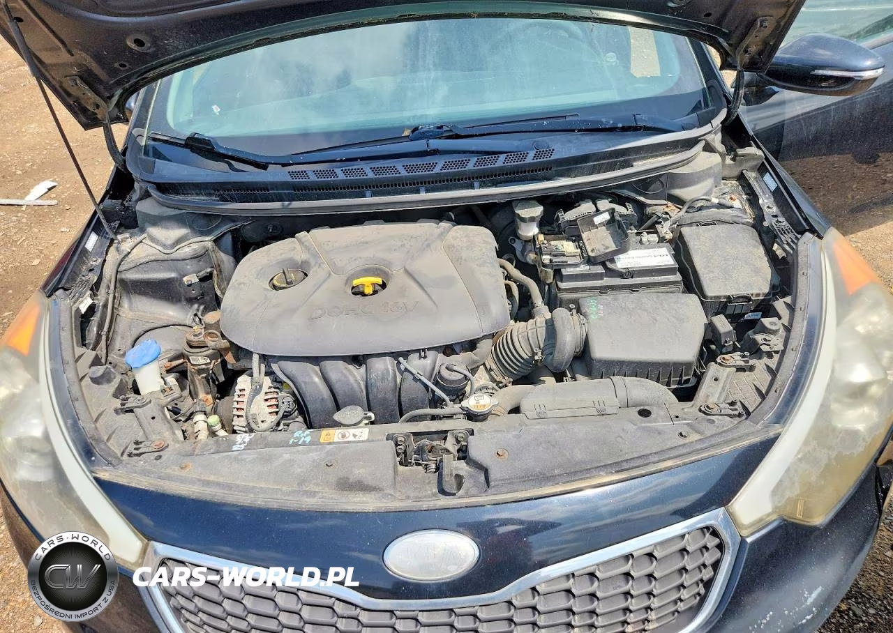 2014 Kia Forte Lx VIN:KNAFX4A65E5097560 - 11