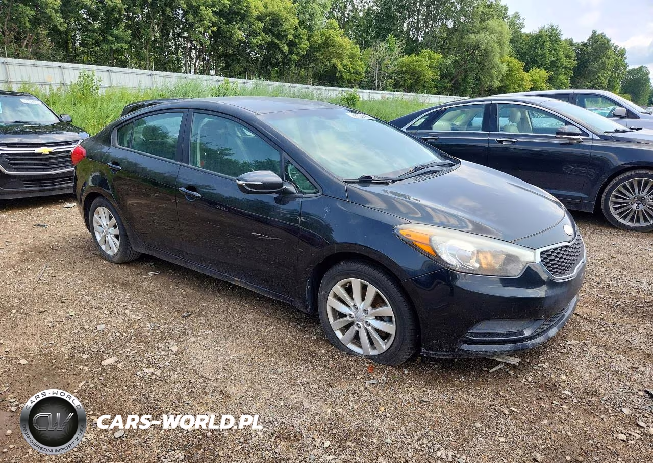 2014 Kia Forte Lx VIN:KNAFX4A65E5097560 - 4