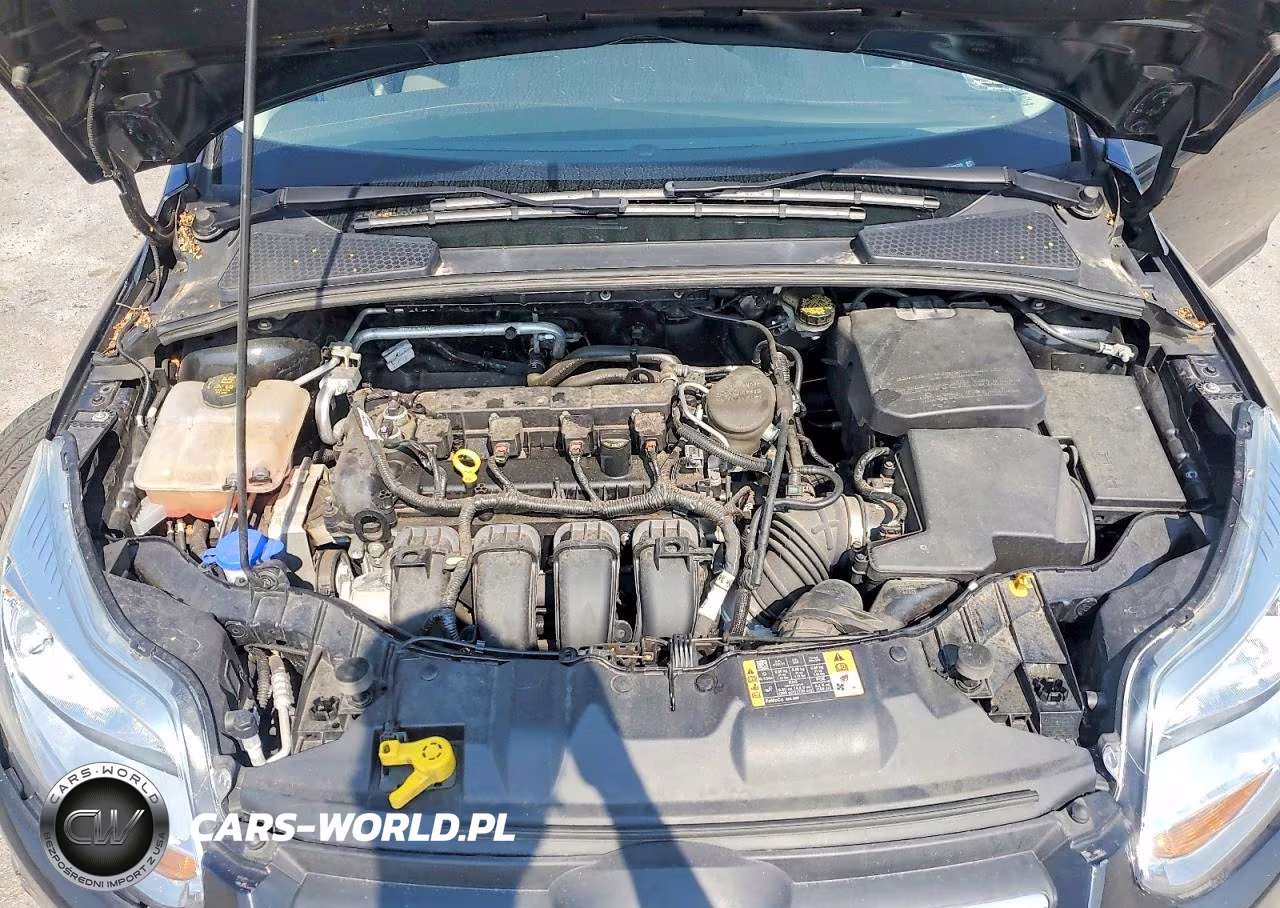 2014 Ford Focus Se VIN:1FADP3K27EL435770 - 11