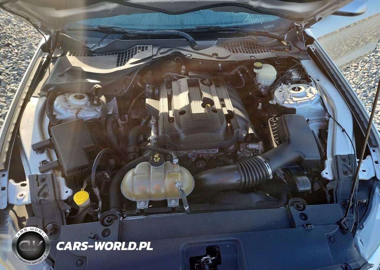 2017 Ford Mustang VIN:1FA6P8TH5H5202519 - 11