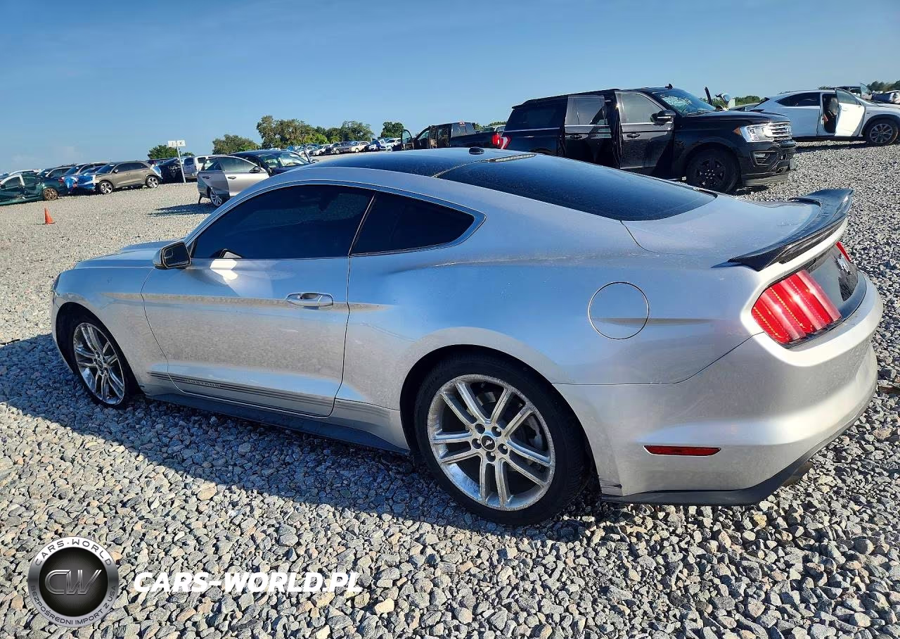 2017 Ford Mustang VIN:1FA6P8TH5H5202519 - 2