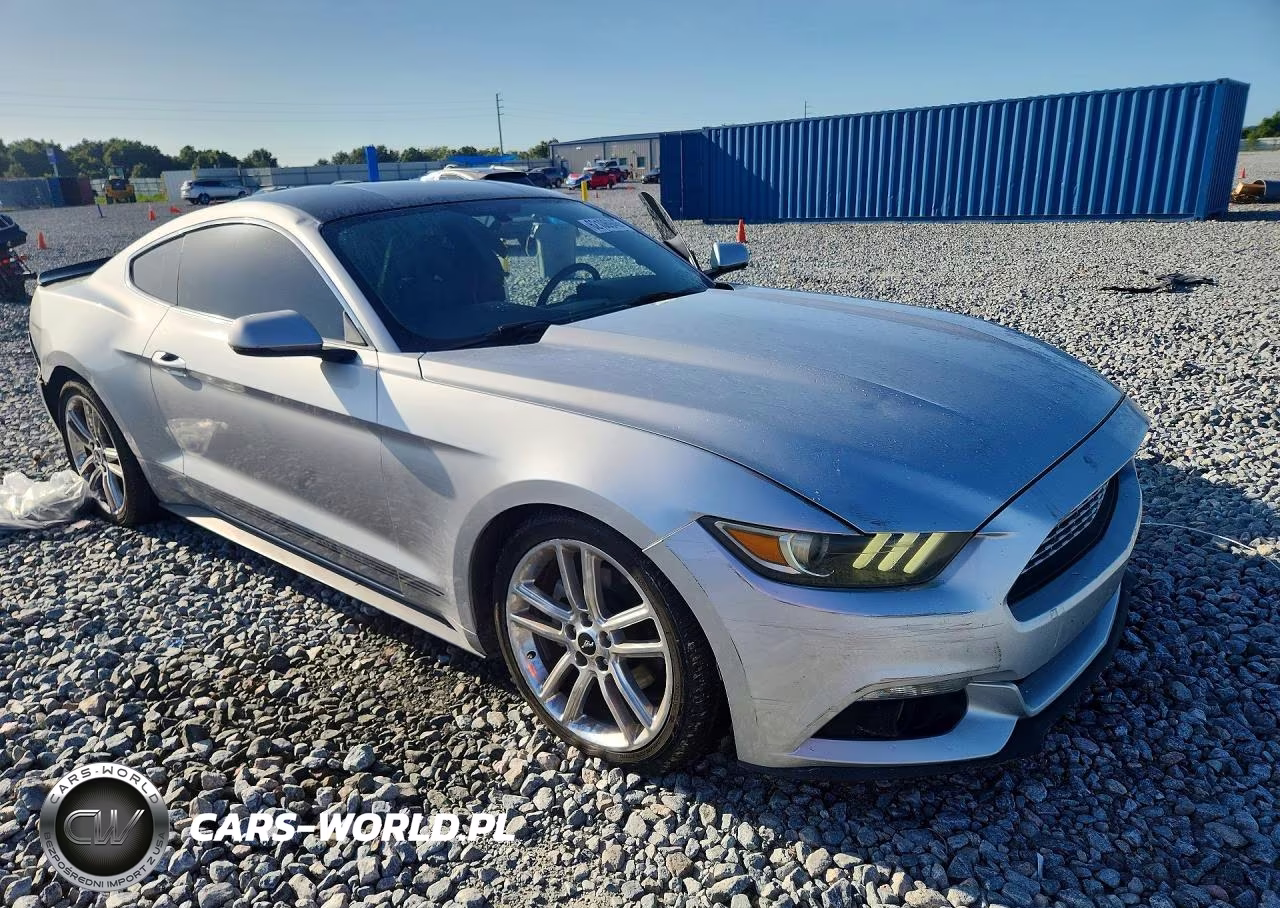 2017 Ford Mustang VIN:1FA6P8TH5H5202519 - 4