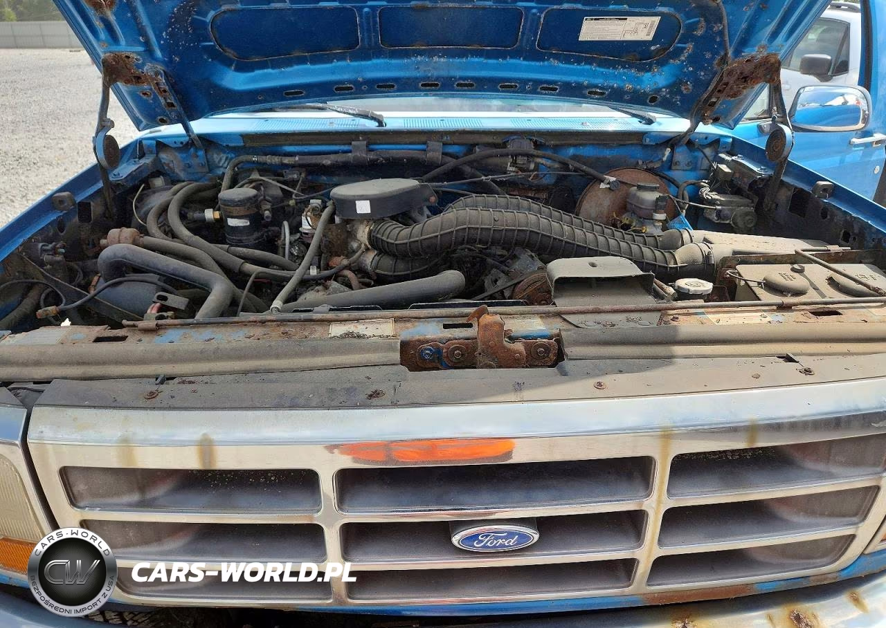 1994 Ford F150 VIN:1FTEX14HXRKB89572 - 11
