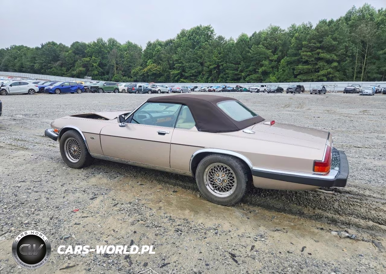 1991 Jaguar Xjs Classic Collection VIN:SAJTW484XMC177039 - 2