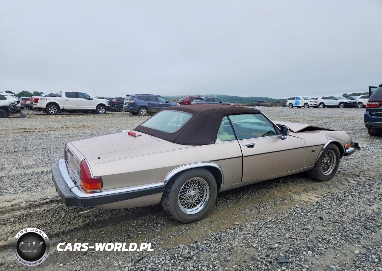1991 Jaguar Xjs Classic Collection VIN:SAJTW484XMC177039 - 3