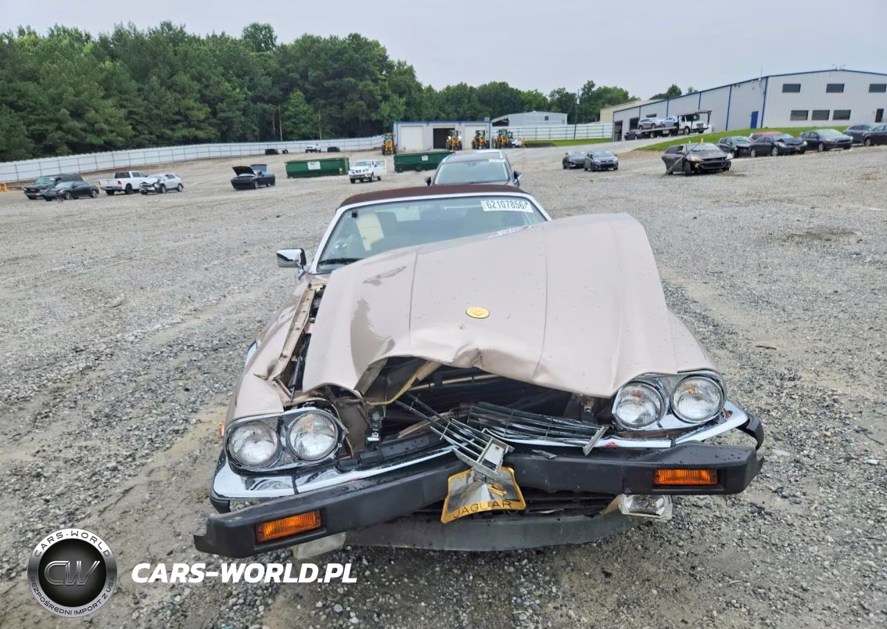 1991 Jaguar Xjs Classic Collection VIN:SAJTW484XMC177039 - 5