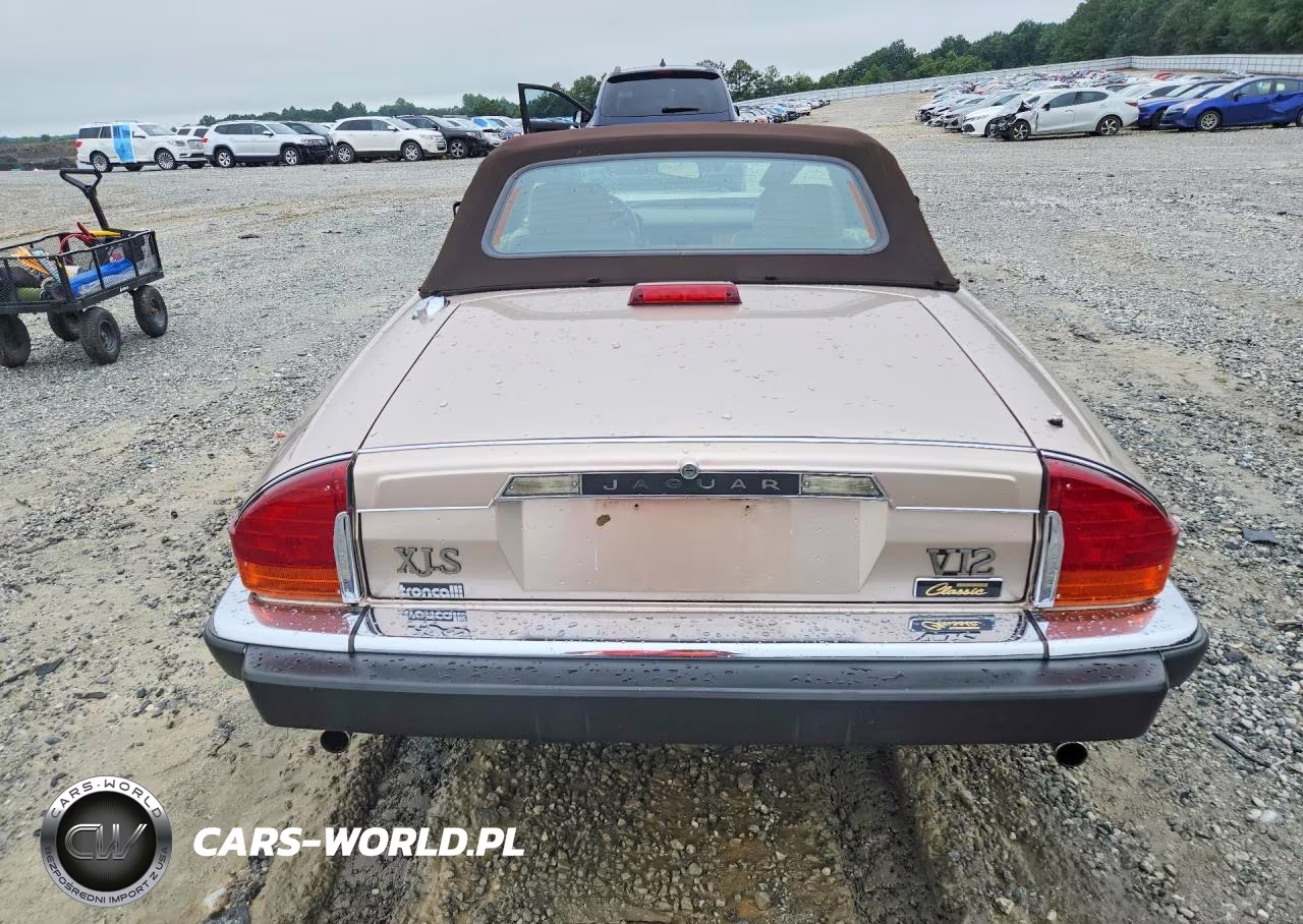 1991 Jaguar Xjs Classic Collection VIN:SAJTW484XMC177039 - 6