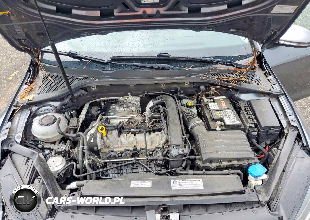2019 Volkswagen Golf S VIN:3VWG57AUXKM018576 - 11