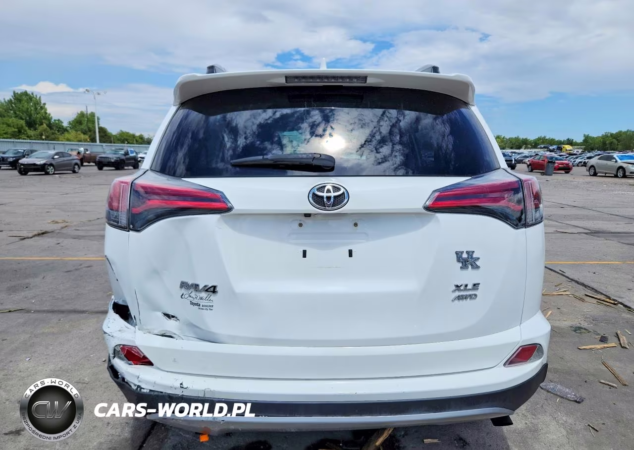 2017 Toyota Rav4 Xle VIN:2T3RFREV4HW627919 - 6