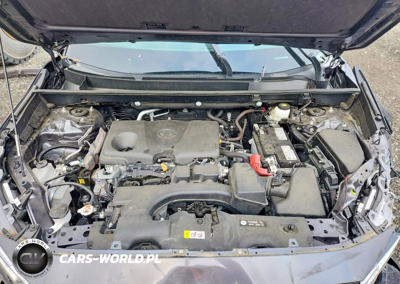 2024 Toyota Rav4 Xle VIN:2T3P1RFV7RC483659 - 12