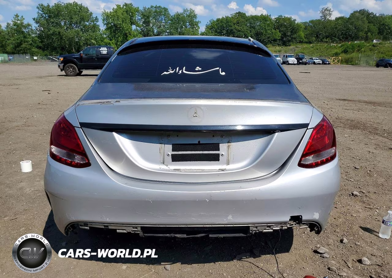 2017 Mercedes-Benz C 300 VIN:55SWF4JB3HU230613 - 6