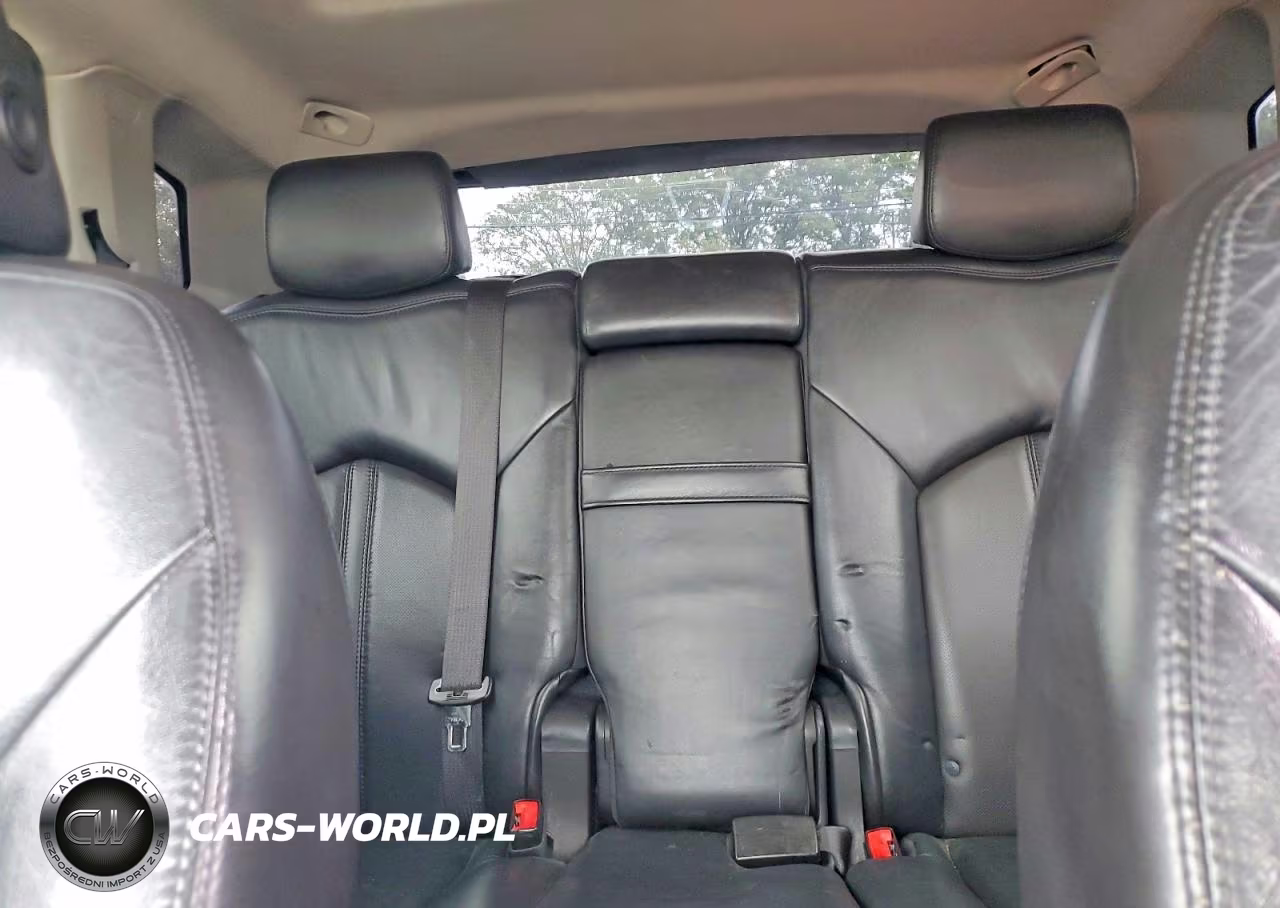 2010 Cadillac Srx Luxury Collection VIN:3GYFNAEY4AS623951 - 10