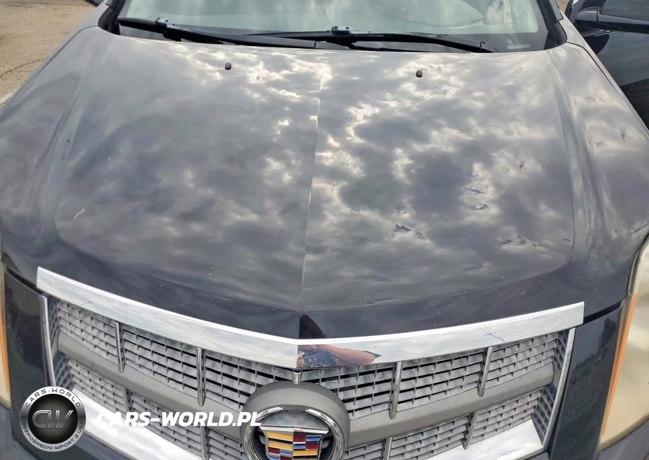 2010 Cadillac Srx Luxury Collection VIN:3GYFNAEY4AS623951 - 12