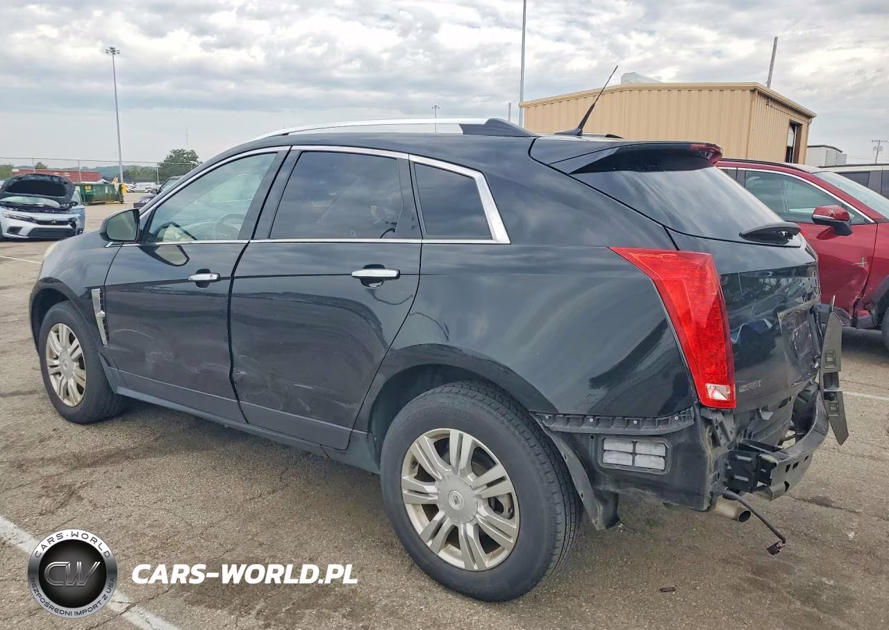 2010 Cadillac Srx Luxury Collection VIN:3GYFNAEY4AS623951 - 2