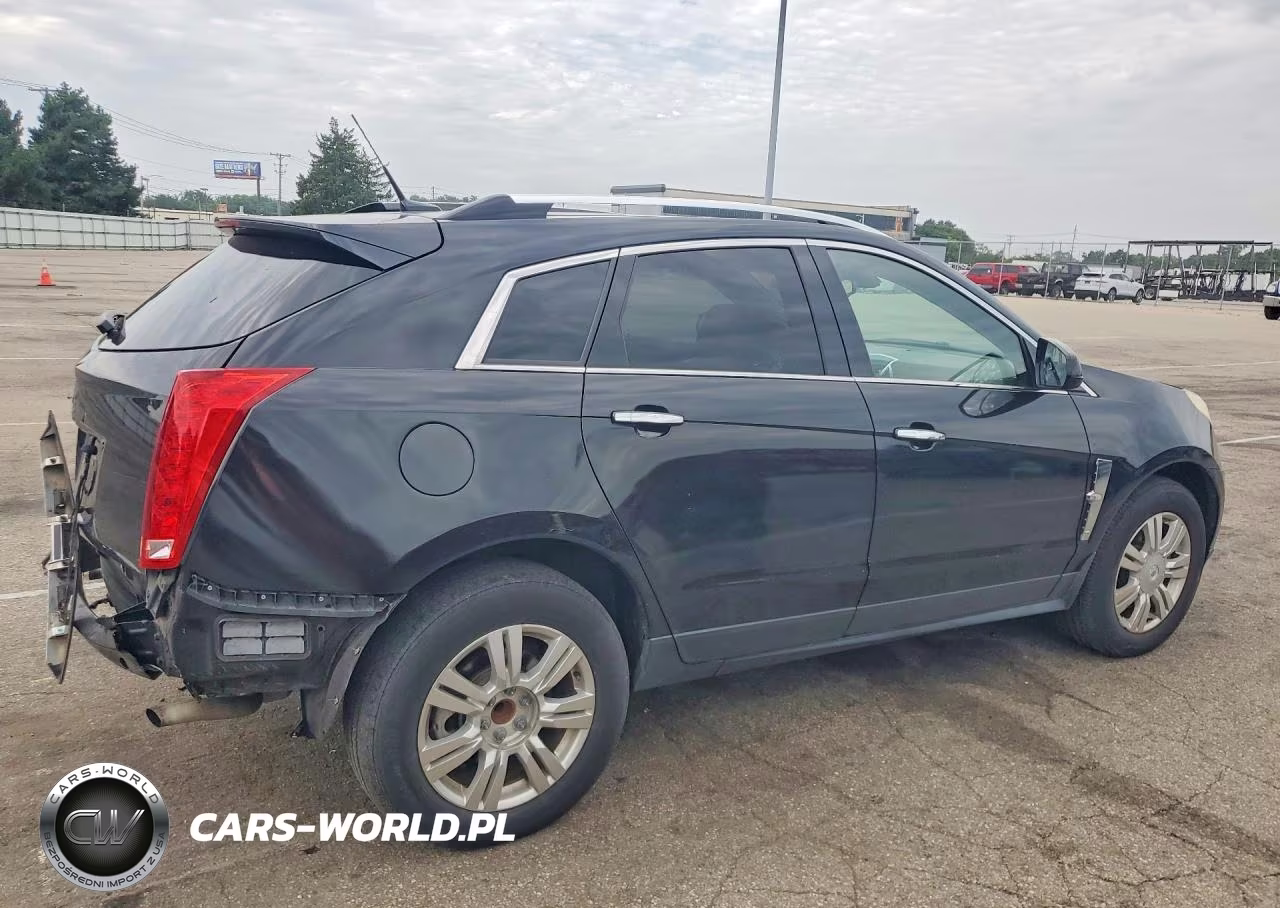 2010 Cadillac Srx Luxury Collection VIN:3GYFNAEY4AS623951 - 3