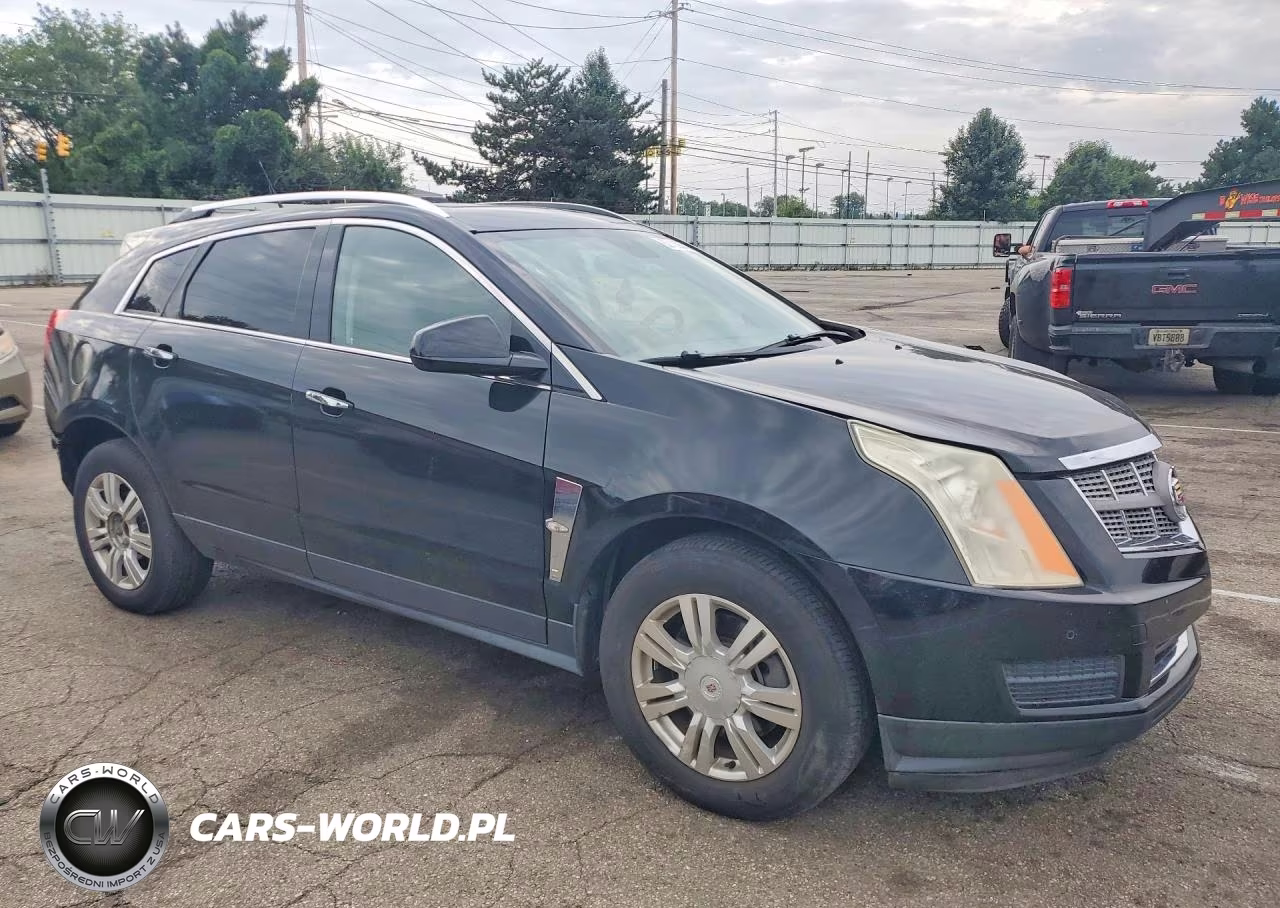 2010 Cadillac Srx Luxury Collection VIN:3GYFNAEY4AS623951 - 4