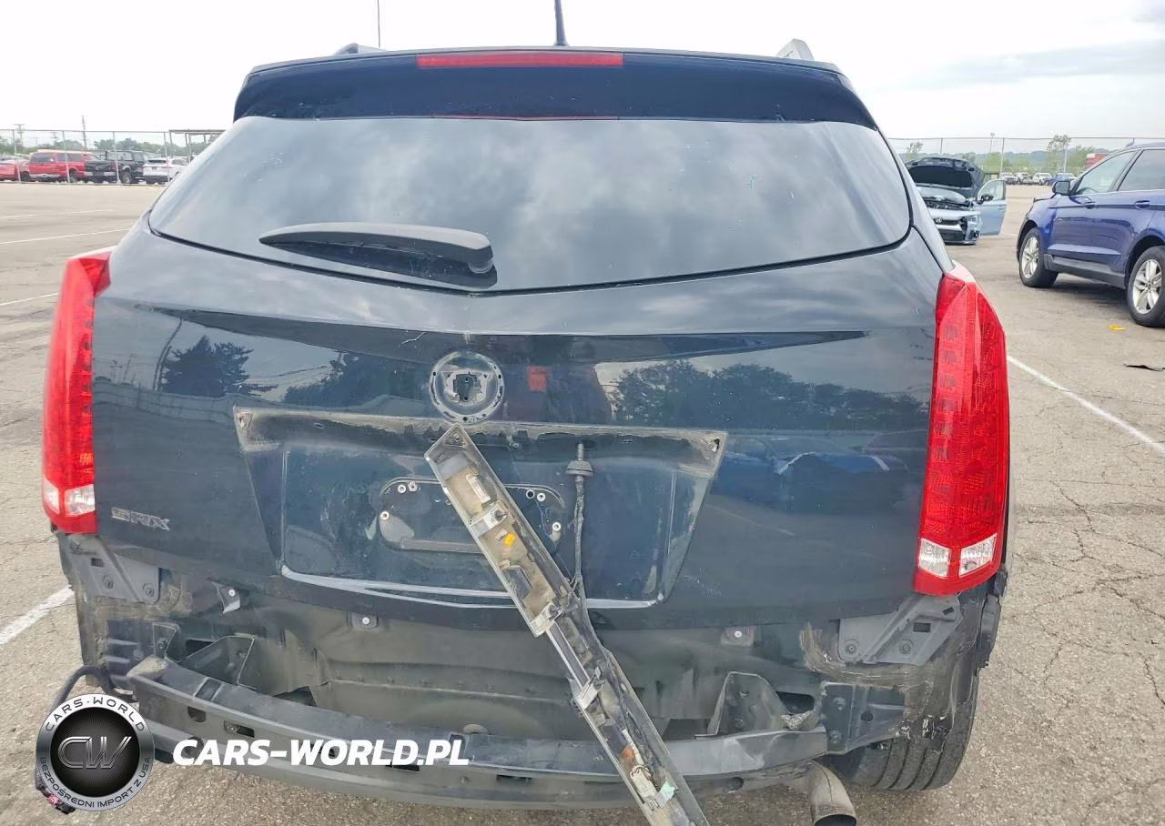2010 Cadillac Srx Luxury Collection VIN:3GYFNAEY4AS623951 - 6