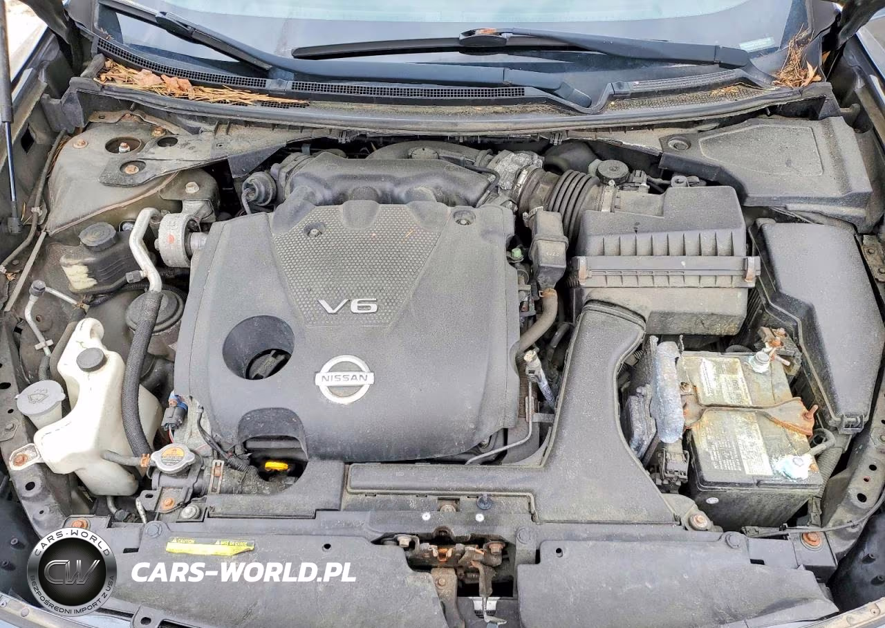 2013 Nissan Maxima VIN:1N4AA5AP3DC841363 - 11