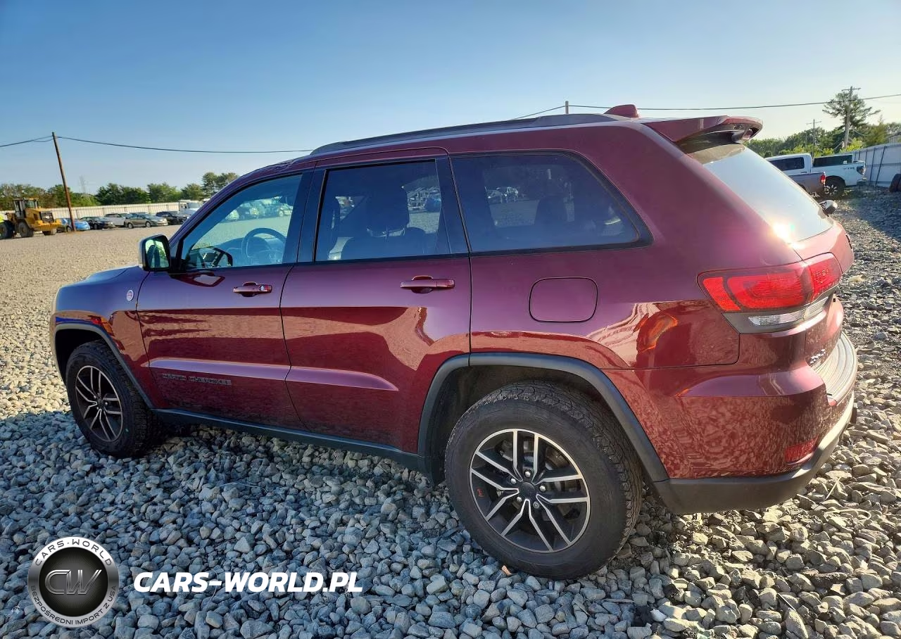 2019 Jeep Grand Cherokee Trailhawk VIN:1C4RJFLT2KC641973 - 2