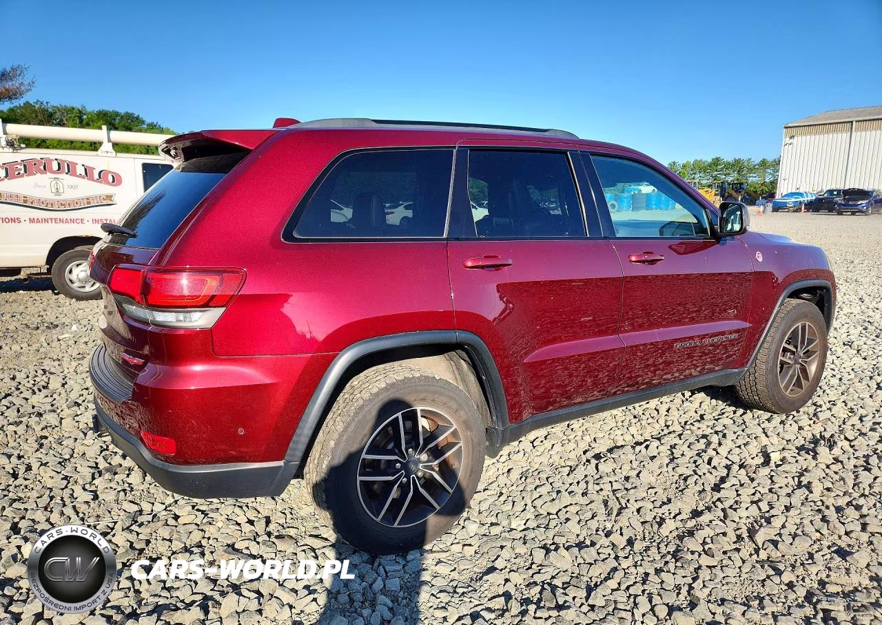 2019 Jeep Grand Cherokee Trailhawk VIN:1C4RJFLT2KC641973 - 3