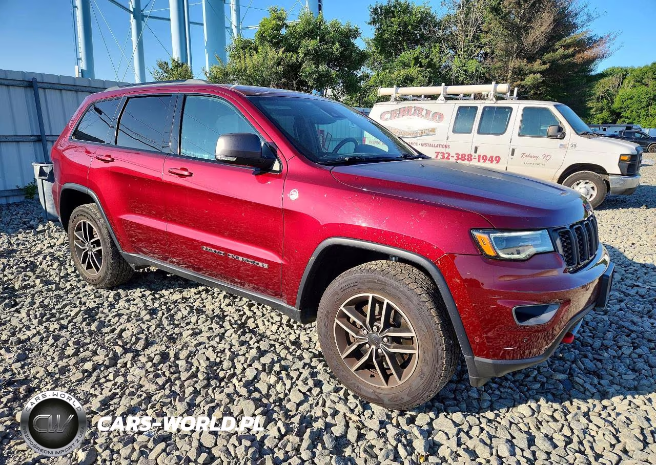 2019 Jeep Grand Cherokee Trailhawk VIN:1C4RJFLT2KC641973 - 4