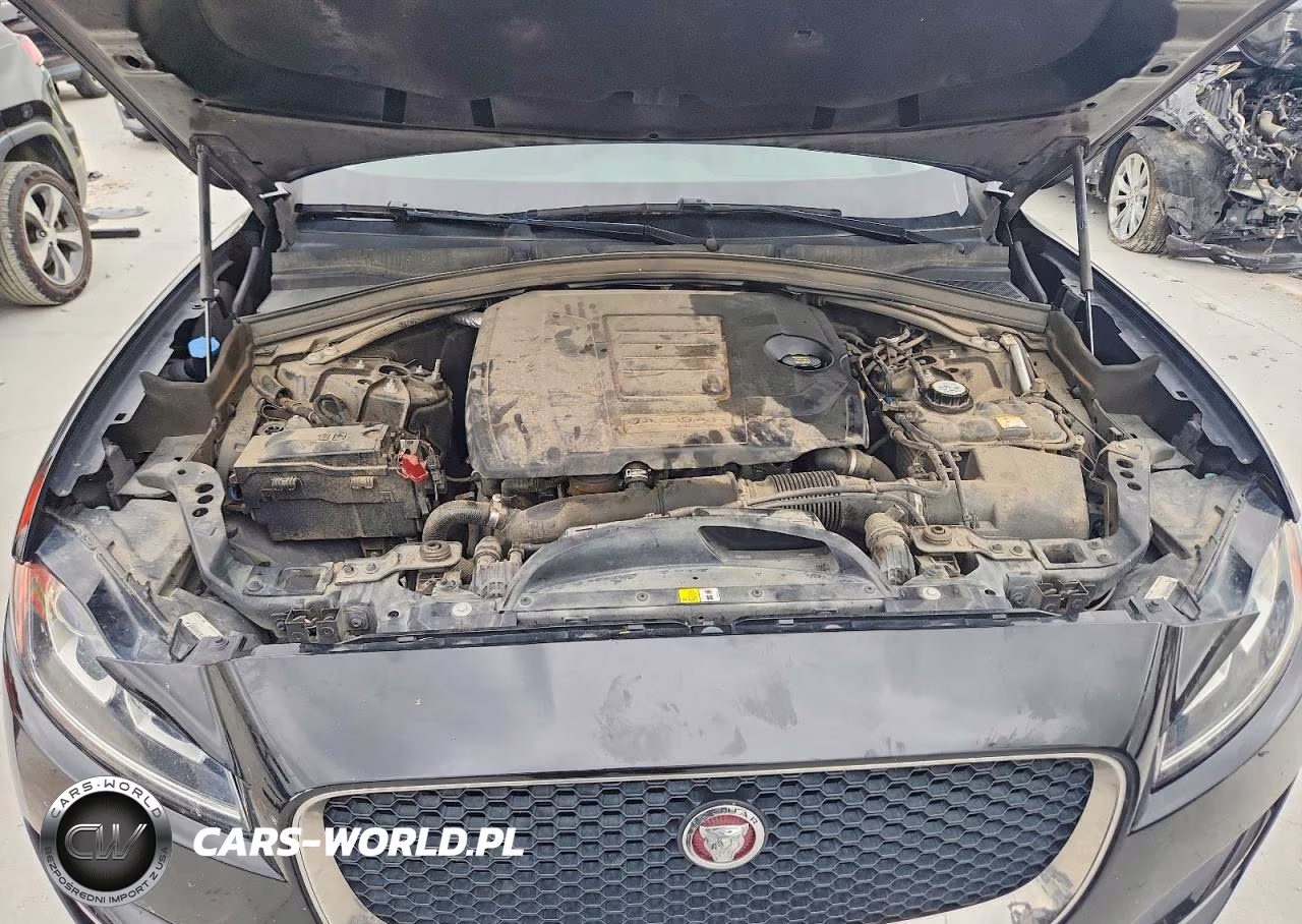 2019 Jaguar F-Pace Premium VIN:SADCJ2FX7KA399081 - 12
