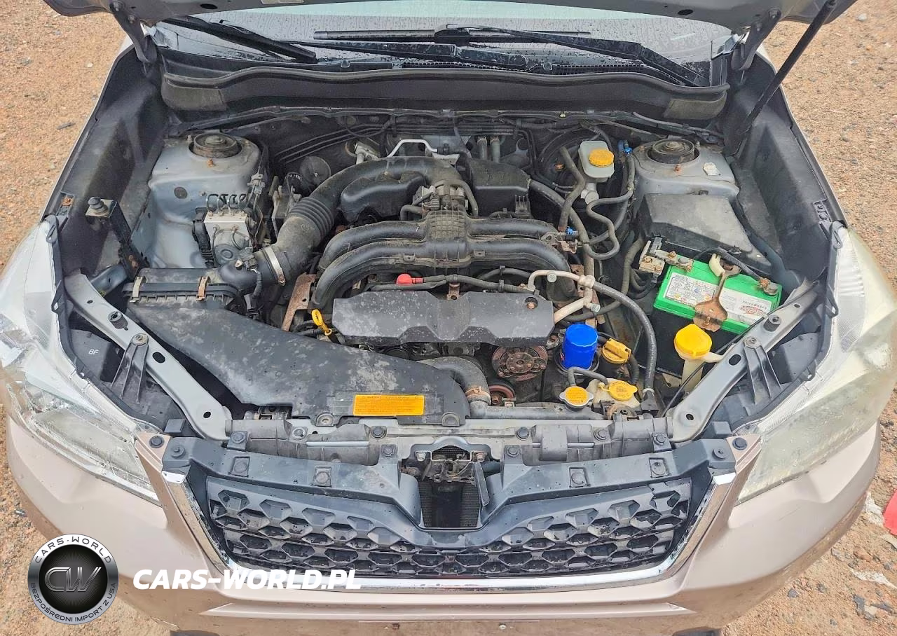 2014 Subaru Forester 2.5I Premium VIN:JF2SJAEC5EH494039 - 12
