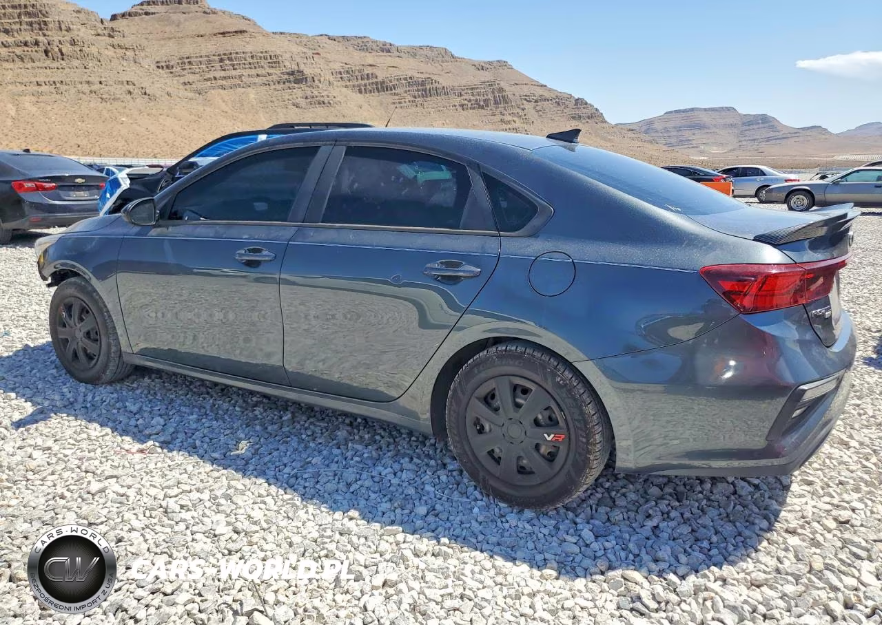 2020 Kia Forte Fe VIN:3KPF24AD2LE172023 - 2