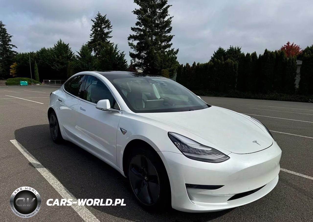 2020 Tesla Model 3