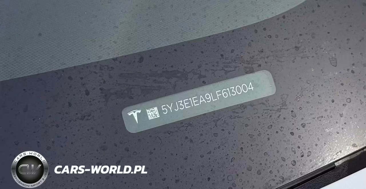 2020 Tesla Model 3 VIN:5YJ3E1EA9LF613004 - 10