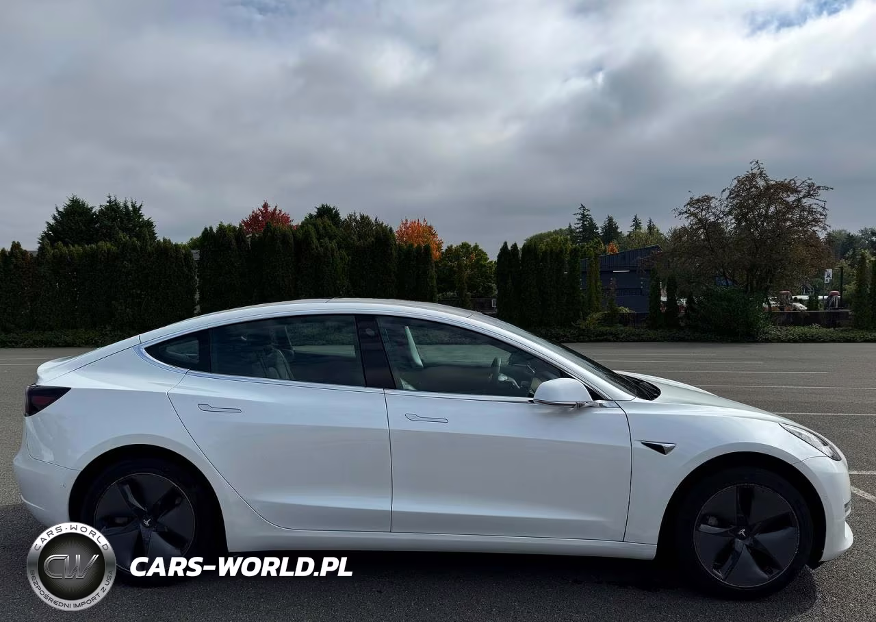 2020 Tesla Model 3 VIN:5YJ3E1EA9LF613004 - 11